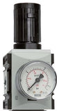 Imagen destacada de la colección - Reguladores De Presión Futura 4, 3/4 - 1 Pulgada, 14200 L/min