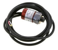 presostato de acero SPDT de 20 a 50bar G1/4'' 250VAC Cable de 3 hilos 2m