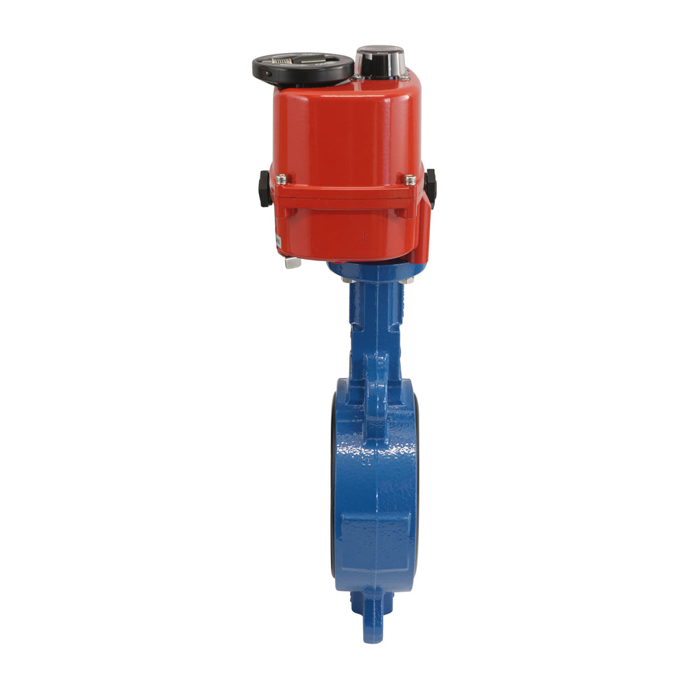 Válvula de Mariposa Electrica DN65 24V AC/DC Lug GGG40 EPDM AG5
