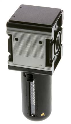 Filtro de carbón activado G3/4'' 3000l/min Semi-Auto Jaula protectora de policarbonato Multifix 4