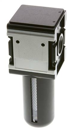 Filtro de carbón activado G1'' 3000l/min Jaula protectora semiautomática Policarbonato Multifix 4