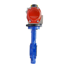 Válvula Mariposa Neumática DN50 (2 Pulgada) Lug Fundición De Hierro Acero Inoxidable EPDM Doble Efecto