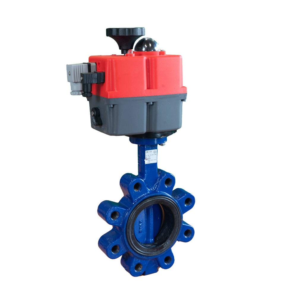 Electric Butterfly Valve DN100 24-240V AC/DC Lug GGG40 NBR J+J