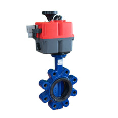 Electric Butterfly Valve DN100 24-240V AC/DC Lug GGG40 PTFE/EPDM J+J
