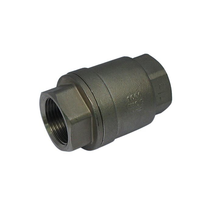 655 - G1'' Válvula de retención de acero inoxidable PTFE F/F 64bar