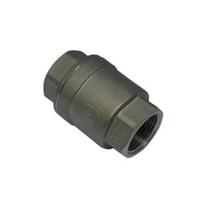 655 - G1'' Válvula de retención de acero inoxidable PTFE F/F 64bar