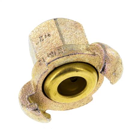Hierro fundido DN 17 DIN 3489 Acoplamiento de garras giratorias Rp 1/2'' hembra
