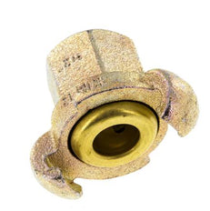 Hierro fundido DN 17 DIN 3489 Acoplamiento de garras giratorias Rp 1/2'' hembra