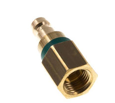 Latón DN 5 Verde Acoplamiento de Aire Enchufe G 1/4 pulgada Hembra