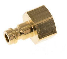 Brass DN 5 Air Coupling Plug G 1/4 inch Female [5 Pieces]