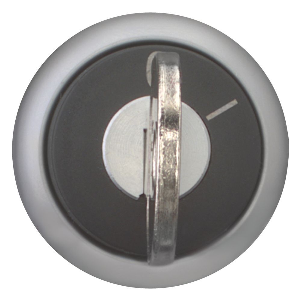 EATON INDUSTRIES RMQ-Titan Interruptor Selector Elemento Frontal - 216887