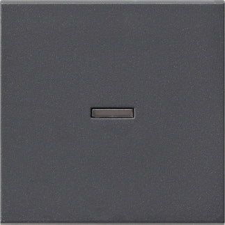 Gira Sistema 55 Elemento De Mando/Conmutador De Placa Central - 029028