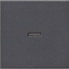 Gira Sistema 55 Elemento De Mando/Conmutador De Placa Central - 029028