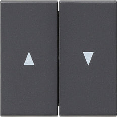 Gira Sistema 55 Elemento De Mando/Conmutador De Placa Central - 029428