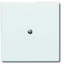 ABB Busch-Jaeger Elemento De Control/placa Central De Conmutación Para Todo Tipo De Clima IP44 - 2CKA001710A2264