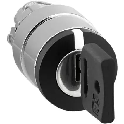 Elemento frontal del interruptor selector Harmony de Schneider Electric - ZB4BG3