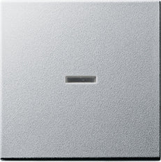 Gira Sistema 55 Elemento De Mando/Conmutador De Placa Central - 029026
