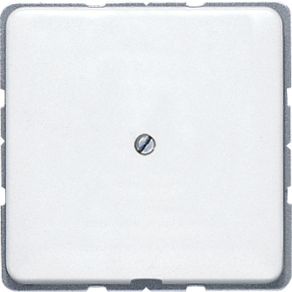 Aparamenta con placa de inserción Jung CD500 - CD590AWW