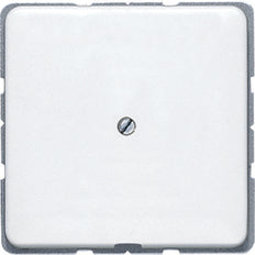 Aparamenta con placa de inserción Jung CD500 - CD590AWW