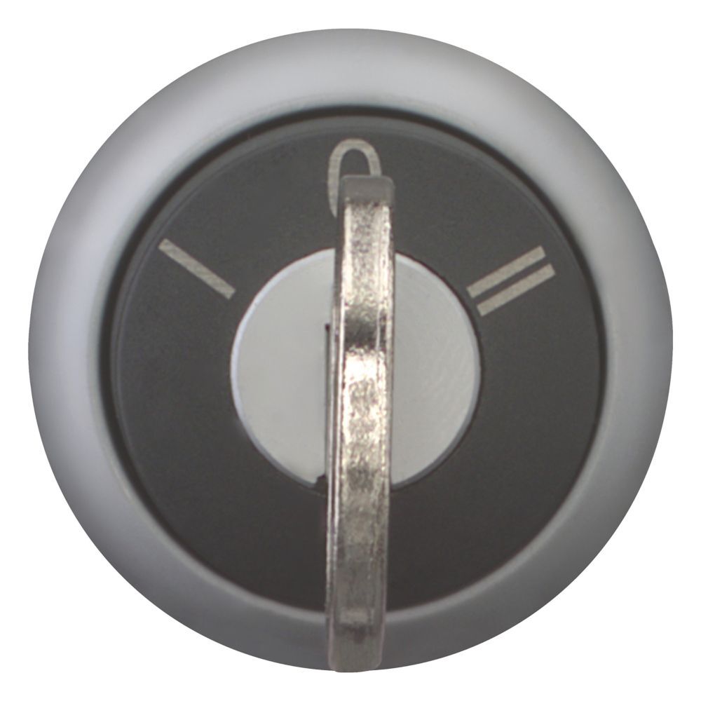 EATON INDUSTRIES RMQ-Titan Interruptor Selector Elemento Frontal - 216900