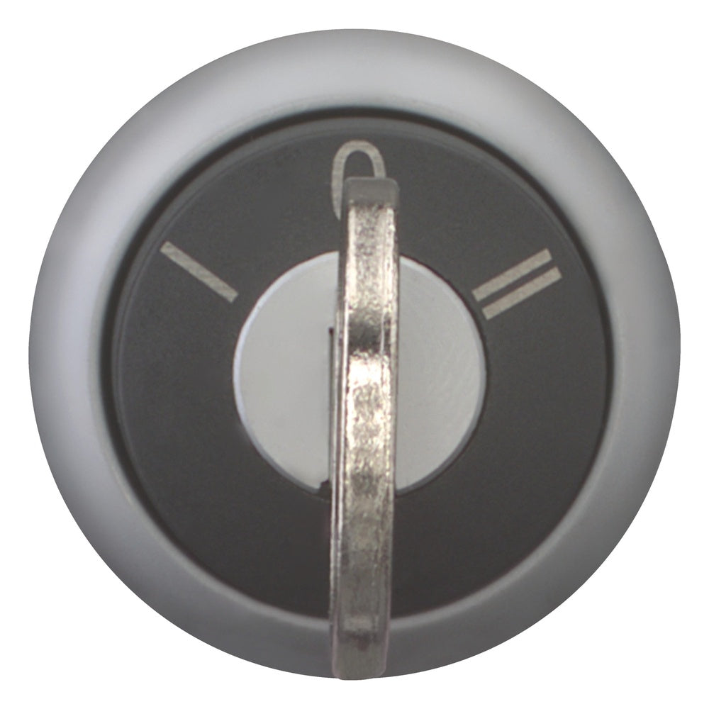 EATON INDUSTRIES RMQ-Titan Interruptor Selector Elemento Frontal - 216900
