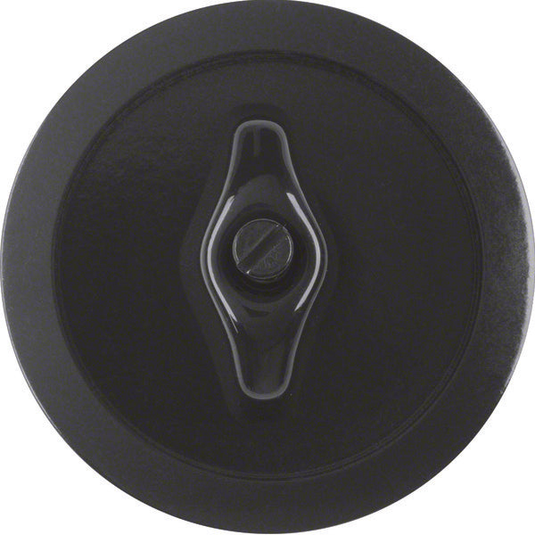 Hager Berker 1930 Elemento De Control/Conmutador De Placa Central - 164701