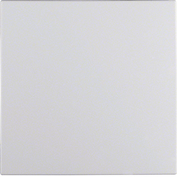 Hager Berker S.1/B.3/B.7 Elemento de Control/Conmutador de Placa Central - 16201909 [2 Piezas]