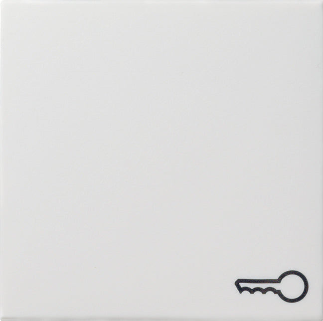 Gira System 55 Elemento de mando/Conmutador de placa central - 028703 [2 Piezas]