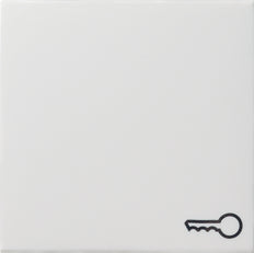 Gira System 55 Elemento de mando/Conmutador de placa central - 028703 [2 Piezas]