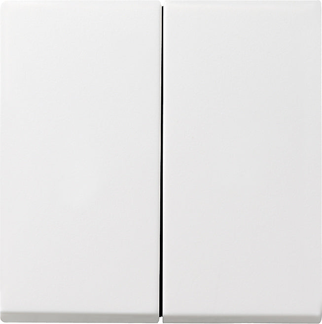 Gira Sistema 55 Elemento De Mando/Conmutador De Placa Central - 029503