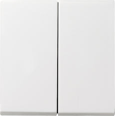 Gira Sistema 55 Elemento De Mando/Conmutador De Placa Central - 029503