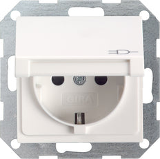 Toma De Pared Gira System 55 (interruptor WCD) - 045403