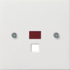 Gira F100 Elemento De Mando/Conmutador De Placa Central - 0638112