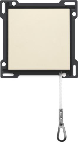 Elemento De Control Original De Niko/Conmutador De Placa Central - 100-63606