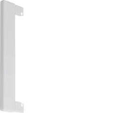 Hager Tehalit Placa con reborde Canal de pared - BR130WK9016