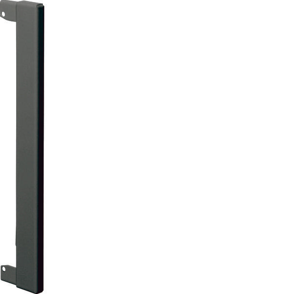 Hager Tehalit Placa con reborde Canal de pared - BR170WK9011