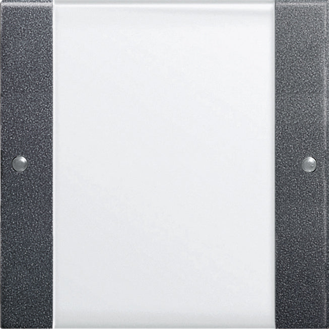 Gira Sistema 55 Elemento De Mando/Conmutador De Placa Central - 213128