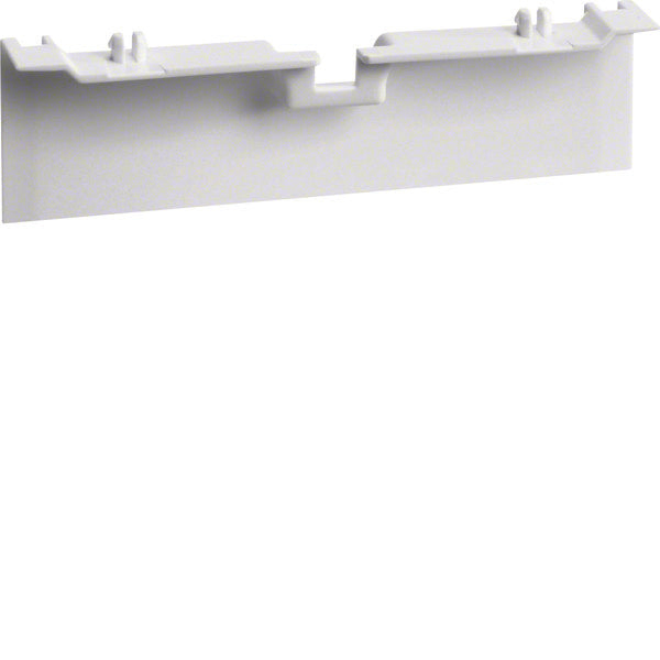 Hager Tehalit Caja De Montaje En Superficie Zócalo Trunking - SL20080A9010