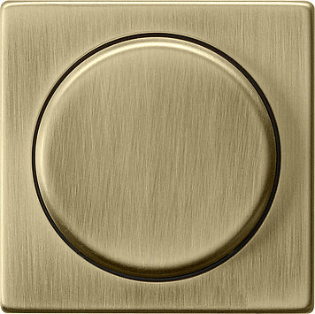 Gira Sistema 55 Elemento De Mando/Conmutador De Placa Central - 0650603
