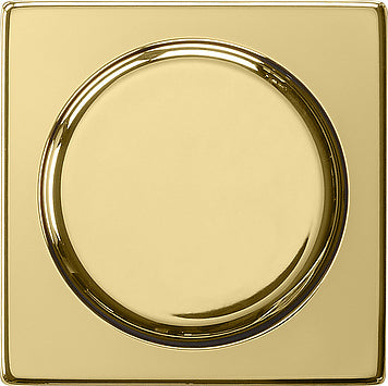 Gira Sistema 55 Elemento De Mando/Conmutador De Placa Central - 0650604