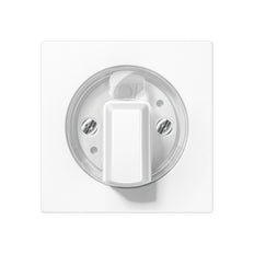 Elemento De Control/conmutador De Placa Central AS500 De Jung - A1541WW