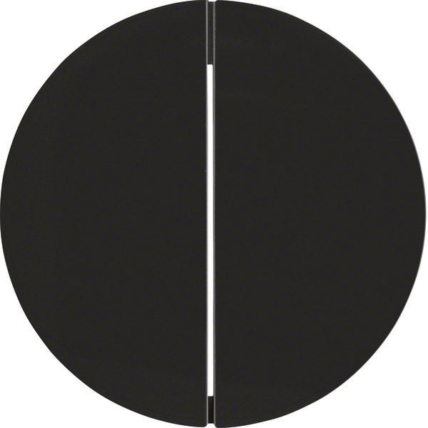 Hager Berker R.1/R.3 Elemento De Control/Conmutador De Placa Central - 16232045