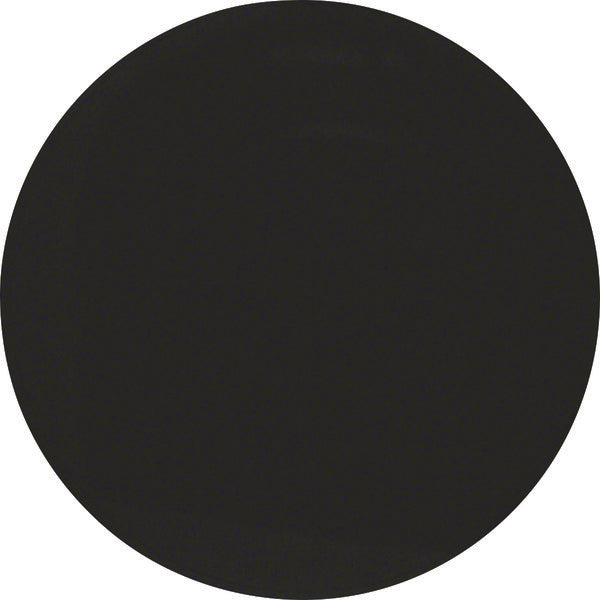 Hager Berker R.1/R.3 Elemento De Control/Conmutador De Placa Central - 16202045