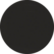 Hager Berker R.1/R.3 Elemento De Control/Conmutador De Placa Central - 16202045