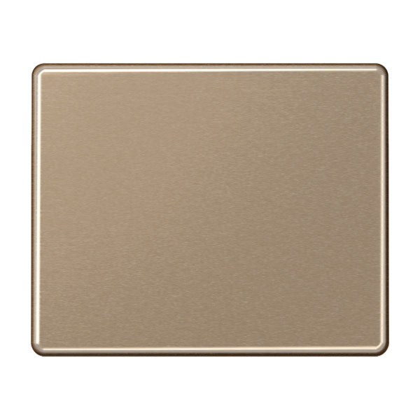 Elemento De Control/conmutador De Placa Central SL500 De Jung - SL590GB