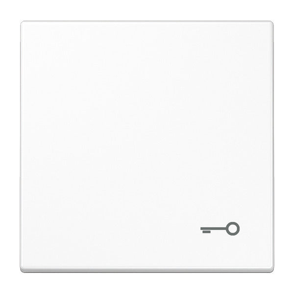 Elemento De Control/placa Central De Conmutación LS990 De Jung - LS990TWW