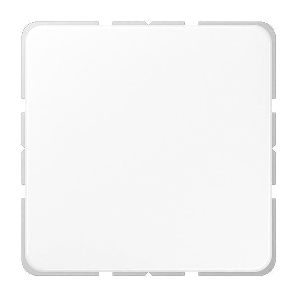 Elemento De Control/conmutador De Placa Central CD500 De Jung - CD594-OWW