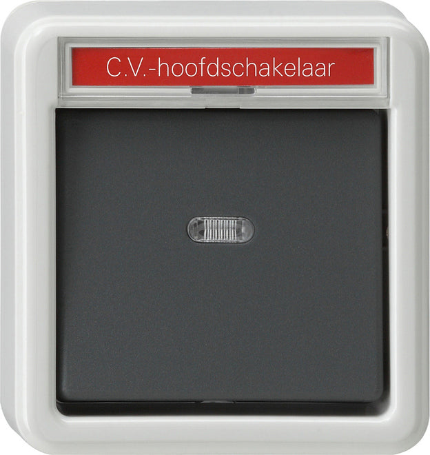 Interruptor de instalación de superficie antisalpicaduras Gira - 011635
