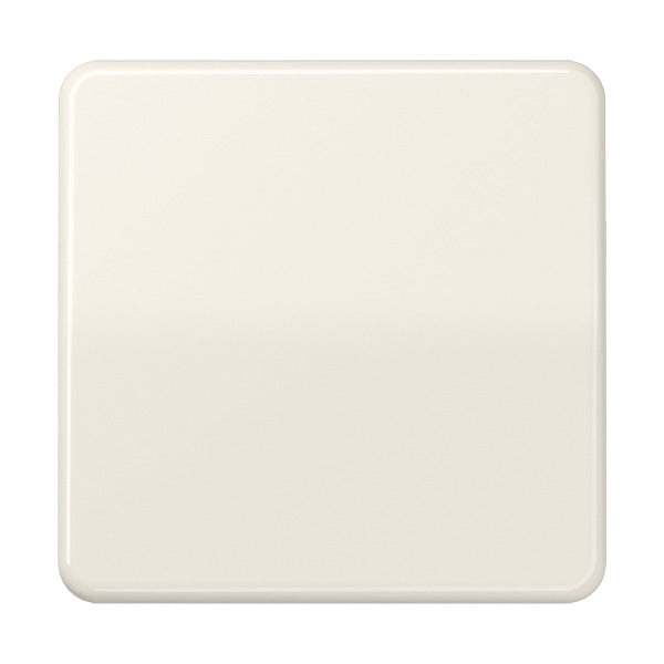 Elemento De Control/conmutador De Placa Central CD500 De Jung - CD590BF