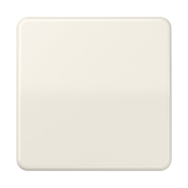 Elemento de control/conmutador de placa central Jung CD500 - CD590 [2 piezas]